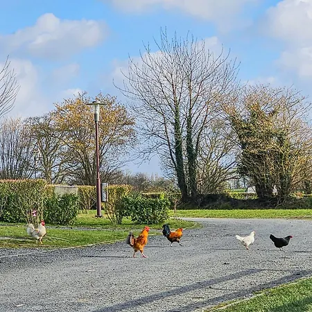 Mobile Luca - Sejour Nature Κάμπινγκ *