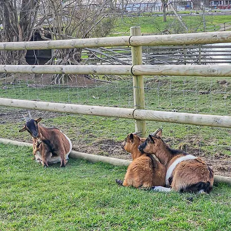 Mobile Luca - Sejour Nature * Litteau