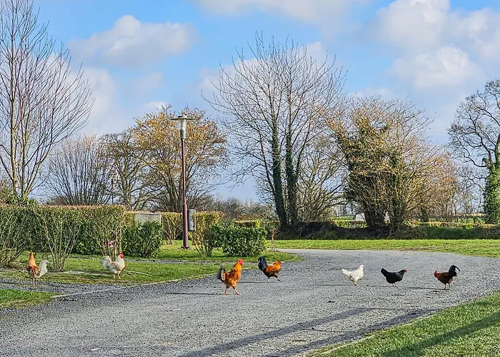 Mobile Luca - Sejour Nature Campsite *