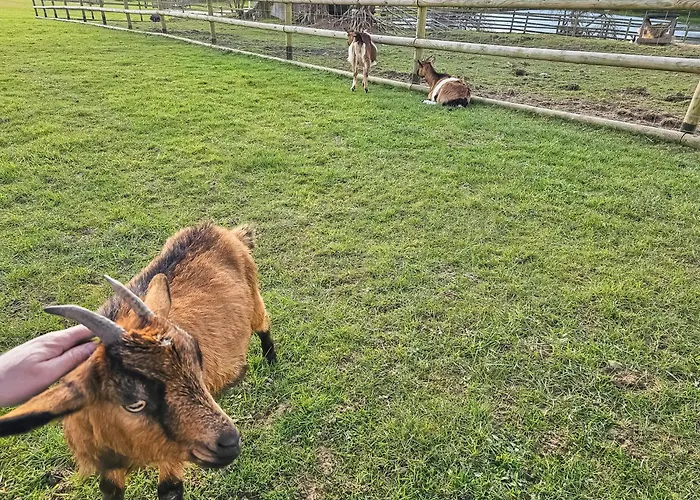 Campsite Mobile Luca - Sejour Nature Litteau