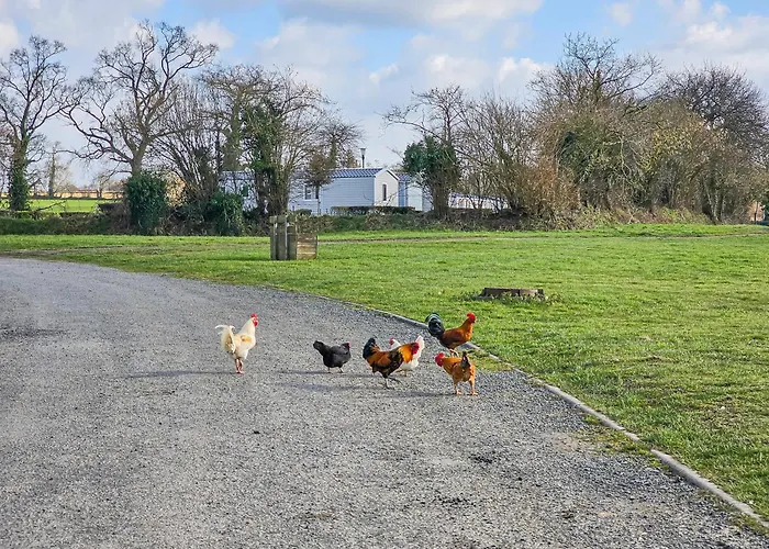 Mobile Luca - Sejour Nature Campsite *