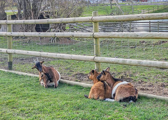 Mobile Luca - Sejour Nature * Litteau